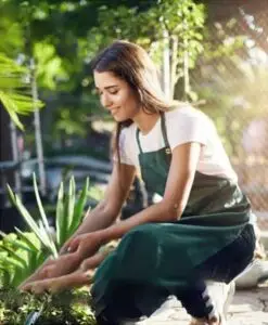 Green Master program