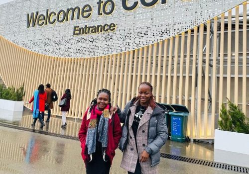 COP29