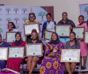 Climate corps